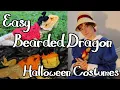 Easy Crochet Bearded Dragon Halloween Costumes
