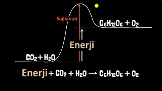 Kimyasal Tepkimelerde Enerji Değişimi (Bölüm 1) | Endotermik ve Ekzotermik Tepkimeler (Kimya)