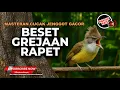 Download Lagu Masteran Cucak Jenggot Gacor Beset Rapet Grejaan Terbaik 2025