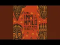 Download Lagu Impi YeMpilo (Kelvin Momo Remix)