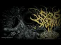Signs of the Swarm - HELLMUSTFEARME (Lyrics/Sub Español)