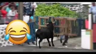 أكثر لقطات مضحكة لمصارعة الثيران في الشوارع 