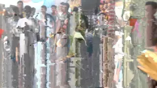 مرشد میررستمی دندنها