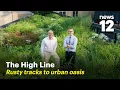 The High Line How an abandoned rail line became a beloved NYC garden