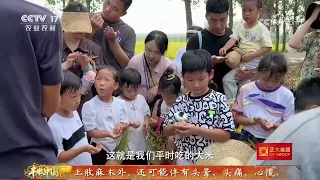 《三农群英汇》 20261011 田间地头的“课堂” | 农业致富经 Agriculture And Farming