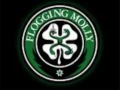 Download Lagu Flogging Molly - Kiss my Irish Ass