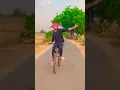 Download Lagu nindu punnami vela folk song #cycledance #viraldance #viral #trending #shorts #farming #village