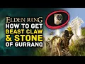 Elden Ring How To Get the Amazing Beast Claw Stone of Gurranq 6 Deathroot Locations