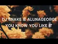 Download Lagu DJ Snake \u0026 AlunaGeorge - You Know You Like It Lyrics