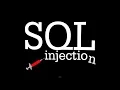 FULLY GUIDED SQL Injection Interactive Learning by Seeing Doing
