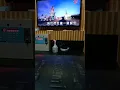 晚安曲(國語)費玉清,優美的成名曲之一