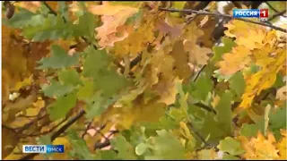 В Омскую область пришло похолодание