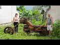 Download Lagu Girl Restores 1975 HARLEY DAVIDSON Chopper Motorcycle Abandoned by Old Man for 30 Years