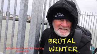 Brutal Winter