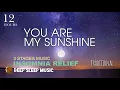 Download Lagu 🌑[12 Hours] You Are My Sunshine ♫ Deep Sleep Music 3 Stages for Insomnia Fall Asleep Fast