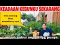 Download Lagu KEADAAN KEBUNKU SEKARANG ,BAHAGIA SEMUA TUMBUH SUBUR DAN BERBUAH,ELSA EXSITED PANEN STRAWBERY ‼️