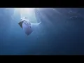 Breaking the Surface 2022 - TRAILER