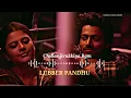 Chillanjirukkiye Bgm | Lubber Pandhu | Dinesh | Harish Kalyan