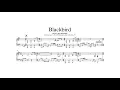 Blackbird - Joey Alexander  (Piano Transcription)