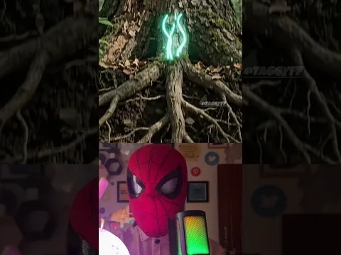 पेड़ों का SECRET INTERNET! 😱🌳 | Wood Wide Web Fact #shorts