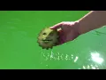 Open Your Own Pool & Keep it Clean All Season - EASY TIPS