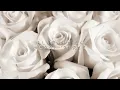 恋におちて -Fall in love- 小林明子