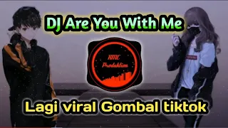 Download DJ Viral Tik Tok Are You with Me Remix Terbaru 2020 (FH Remix) MP3