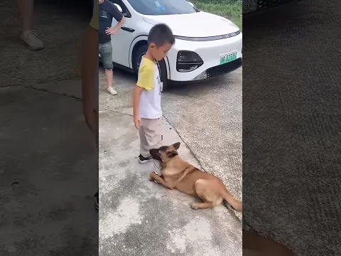 मेरा प्यारा  Dog 🐶 #shorts#animantionvideo