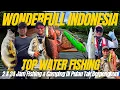 Download Lagu MANGROVE JACK TOP WATER FISHING🔥‼️PARAH IKAN DISINI BESAR2 \u0026 KELAPARAN SEMUA‼️😱 SHIMANO CAPTURE 2025