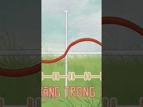 Con rồng trong tâm thức người Việt Nam l Điều Chúng Mình Chưa Biết 1