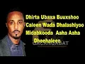 Download Lagu Heestii Dheeliga  Abduqadir Juba  LYRICS