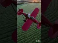 Download Lagu Pilot Bunny! 🧑‍✈️✈️ Watch This Rabbit Fly! #Shorts #FunnyAnimals#bunny  #cutepets