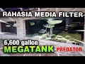 Download Lagu BONGKAR MEDIA FILTER MEGATANK AQUARIUM / KOLAM IKAN HIAS PREDATOR #1