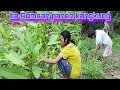 Download Lagu ITA ROMSAH panen kangkung #dedymulyadi #egoadriano #partitv #sinauhurip #sosialodgj