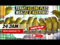 Lagu 🔴 TERAPI KOLONI PLECI LANGSUNG NGALAS \u0026 NGERIWIK 24 JAM | MASTERAN PLECI MACET BUNYI