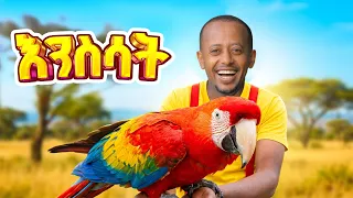 ለልጆቻችሁ የእንስሳትን ስም ከጋሽ እሸቱ ጋር አለማምዷቸው፡፡ #ጋሽ_እሸቱ #comedianeshetu #donkeykids #gasheshetu