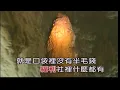 童年~張艾嘉~女F調~伴奏~導唱~金嗓(丙)