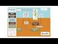 The Nitrogen Cycle
