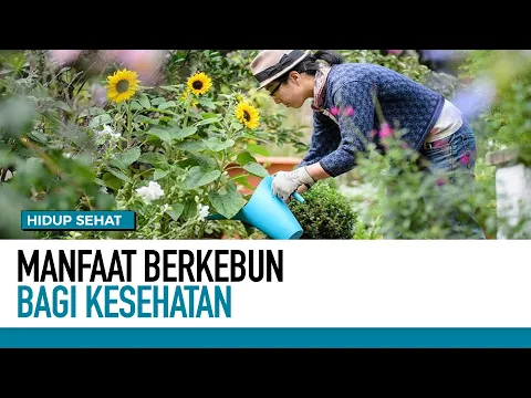 Manfaat Berkebun Bagi Kesehatan | Hidup Sehat