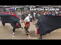 Download Lagu Bantengan ngamuk Satria Macan Kumbang Ft Garuda Sakti Live Wewe Gondang Mojokerto