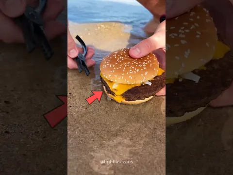 #bts