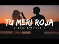 TU MERI ROJA - SLOW + REVERB || VIJAY DEVARKONDA || RK LO-FI CREATIVE