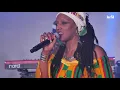 Mo'Kalamity & The Wizards // Live @ La Serre #reggae #lefilsmac #SaintEtienne