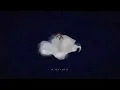 Wasia Project - Sunken Quay (Official Lyric Video)