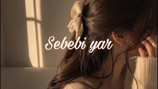                                      مترجمه  دندنها