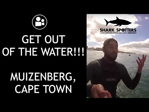 Download MP3 Shark Siren at Muizenberg Beach, Cape Town Travel Video Vlog