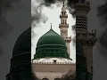 Download Lagu Ya Nabi Salam Alaika❤️🥀  #quranictranslation #islamictext #cutecat #islamicscripture #islamicshorts