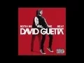 Download Lagu David Guetta - Where Them Girls At (Audio)