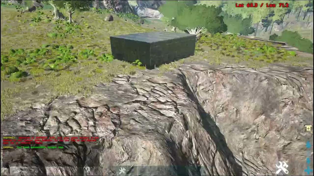 FLYING LIFETIME
