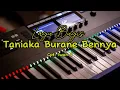 Download Lagu Lagu Bugis - Taniaka Burane Bennya || Cpt Iwan S